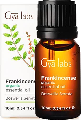 Gya Labs Ätherisches Bio-Weihrauchöl für Meditation und Entspannung - Reine therapeutische Qualität für Aromatherapie und topische - 10ml