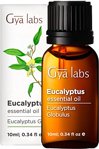 Gya Labs Eukalyptusöl für Atmung - Reine Ätherisches Öl Eukalyptus Öl für Gesundheit und Kopfschmerzen - 100 Naturreine für Diffuser Aromatherapie, Aromaöl und Duftöl - 10ml