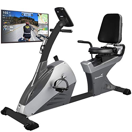 skandika Liegeergometer Centaurus Sitzergometer Heimtrainer Liegeheimtrainer | 13kg Schwungmasse, 12...