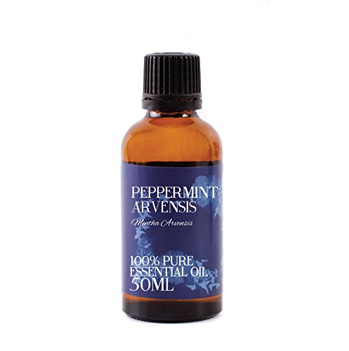Mystic Moments Ätherisches Arvensis Pfefferminzöl - 50ml - 100% rein