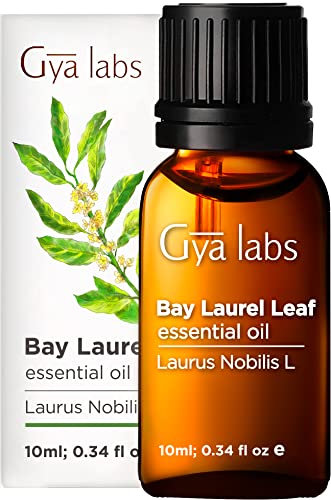 Gya Labs Lorbeerblätter Ätherisches Öl für Haare und Schmerzlinderung - Reine Lorbeeröl für Schlaf - 100 Naturreine Lorbeerblattöl für Diffuser Aromatherapie, Aromaöl und Duftöl - 10ml