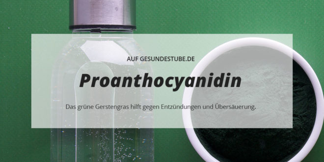 Proanthocyanidin