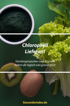 Gerstengras als Chlorophyll-Lieferant