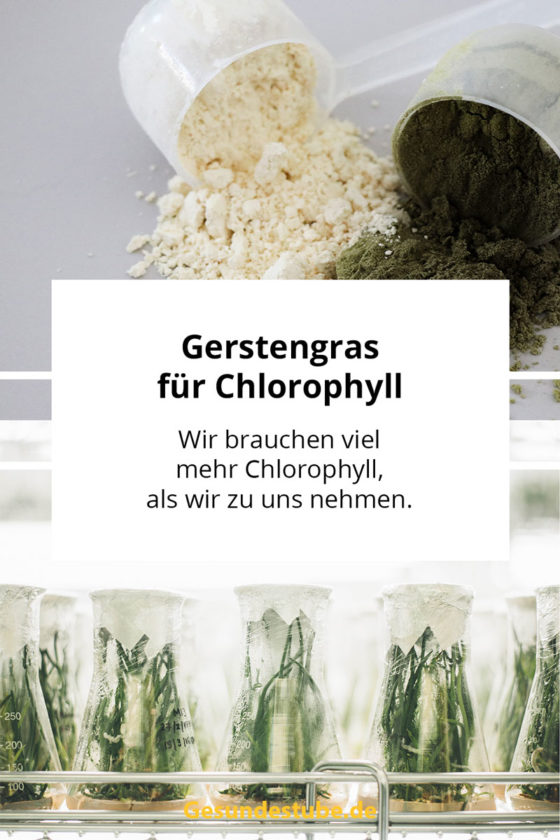 Gerstengras für mehr Chlorophyll